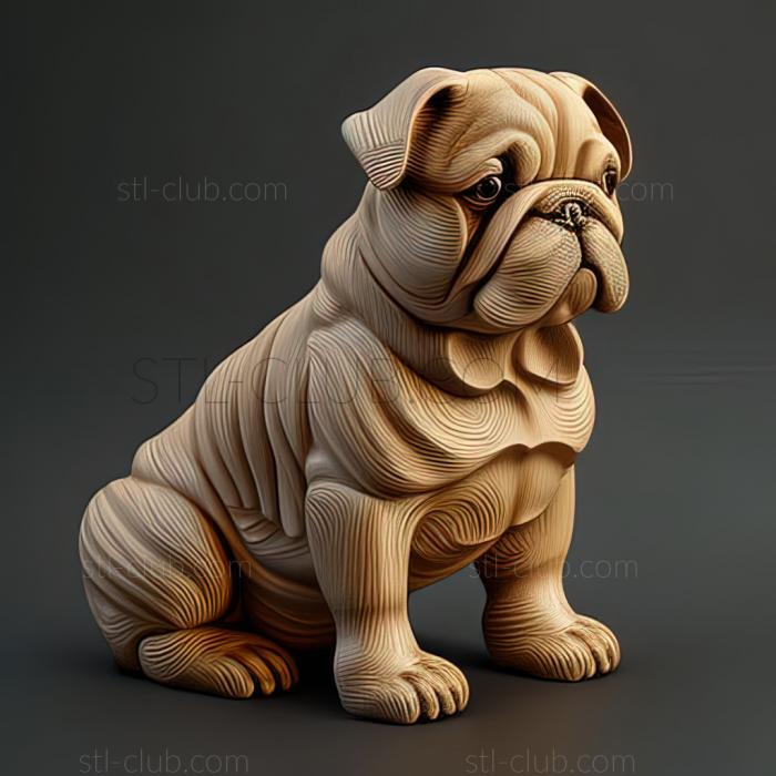 st Toy Bulldog dog